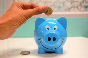 Frugal Entrepreneur